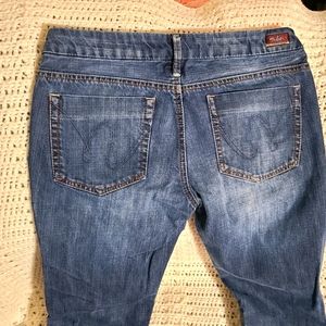 Silver Stefani Jeans 28 x 32 Boot Cut
